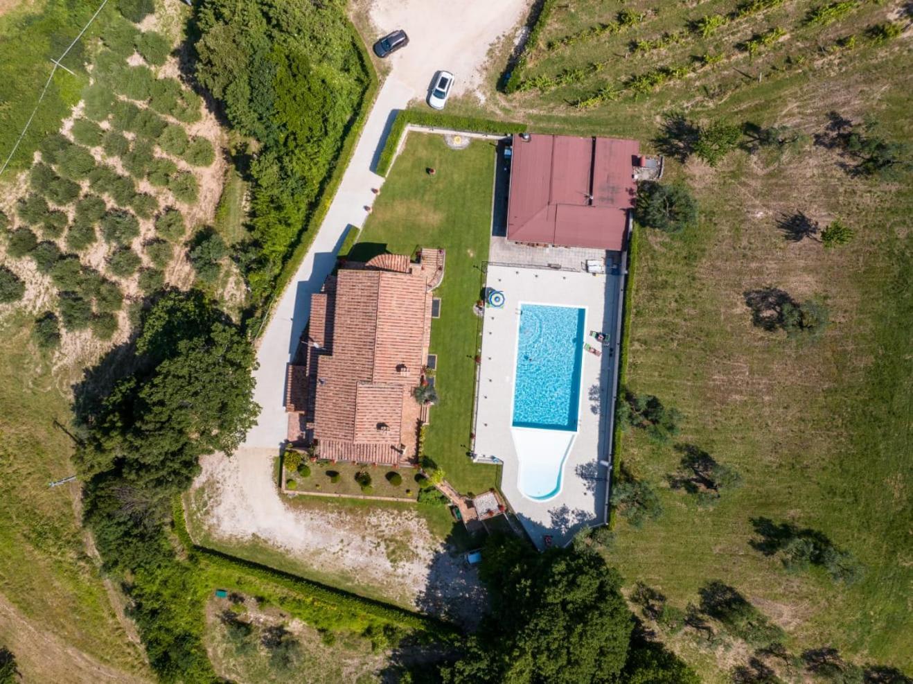 Agriturismo Isola Verde Sant'Urbano Экстерьер фото