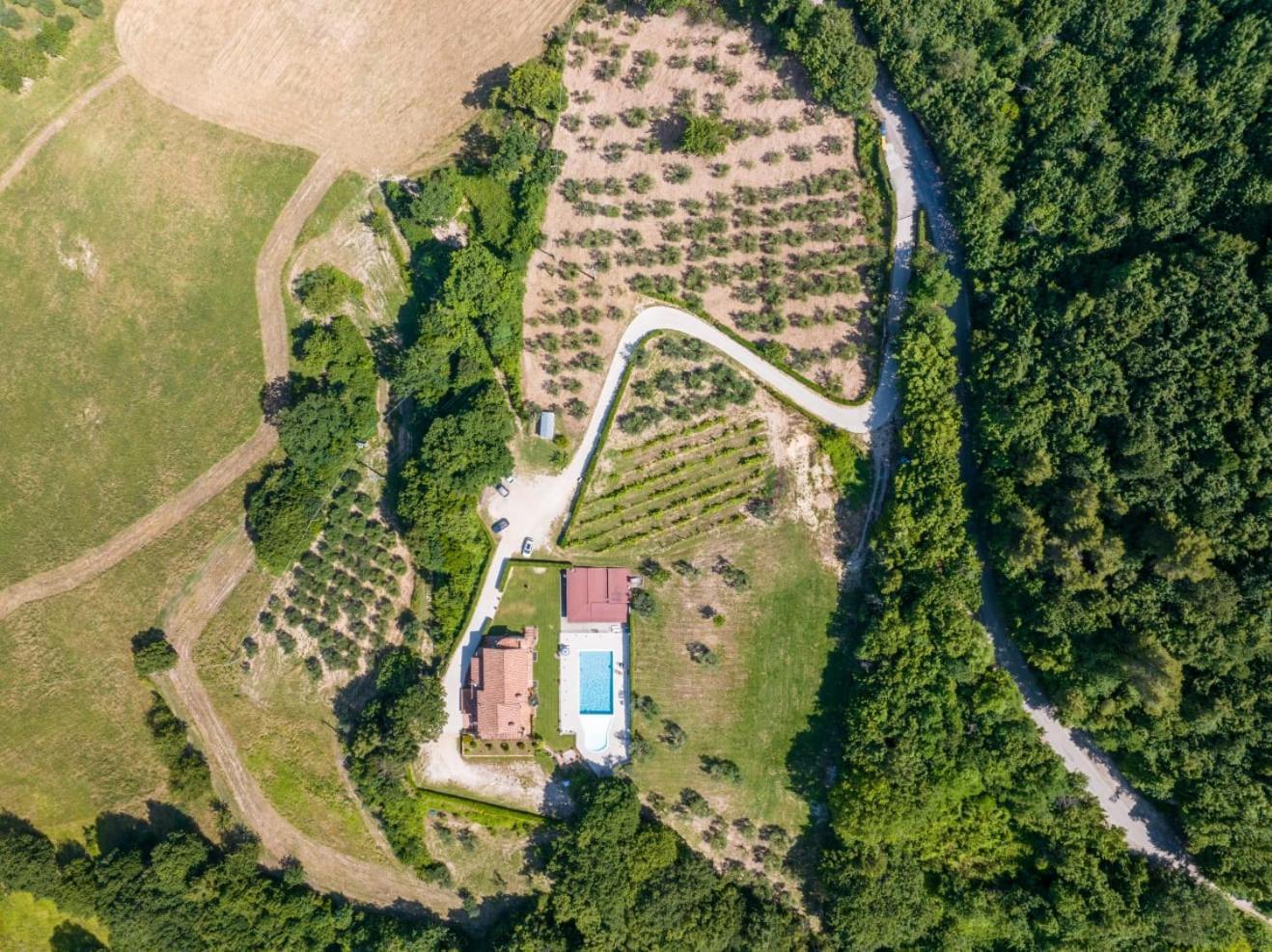 Agriturismo Isola Verde Sant'Urbano Экстерьер фото