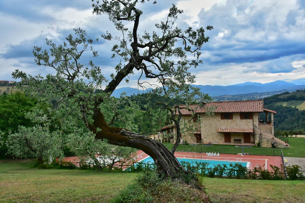 Agriturismo Isola Verde Sant'Urbano Экстерьер фото