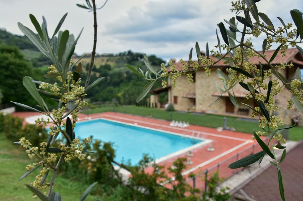 Agriturismo Isola Verde Sant'Urbano Экстерьер фото