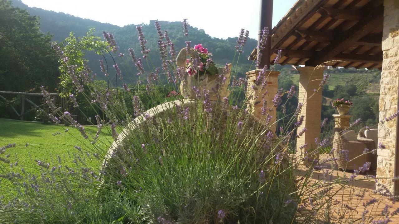 Agriturismo Isola Verde Sant'Urbano Экстерьер фото