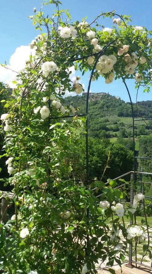 Agriturismo Isola Verde Sant'Urbano Экстерьер фото