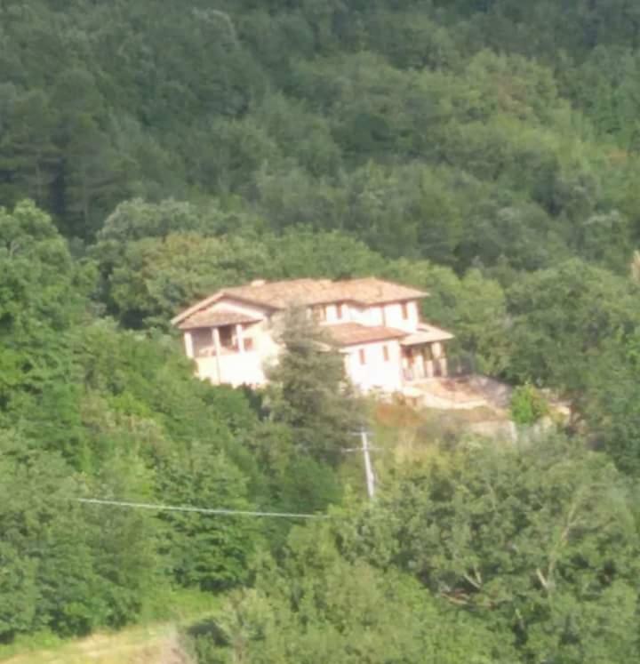 Agriturismo Isola Verde Sant'Urbano Экстерьер фото