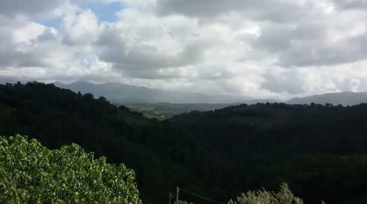 Agriturismo Isola Verde Sant'Urbano Экстерьер фото