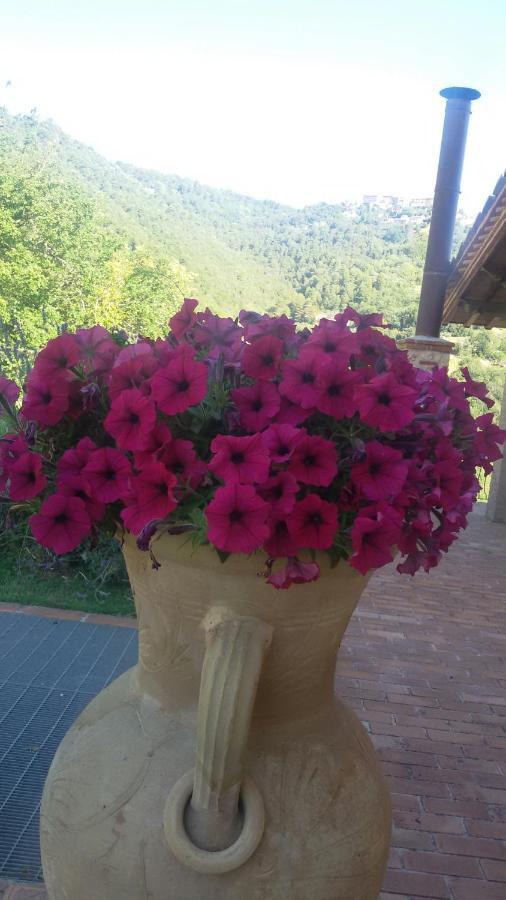 Agriturismo Isola Verde Sant'Urbano Экстерьер фото